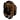 Montana Grizzlies
